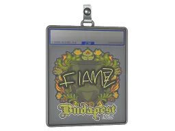 Sticker Slab | FlameZ | Budapest 2025