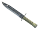 ★ Bayonet | Stained (Factory New)
