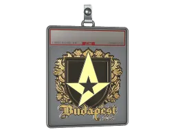 Sticker Slab | Astralis (Gold) | Budapest 2025