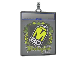 Sticker Slab | M80 | Budapest 2025