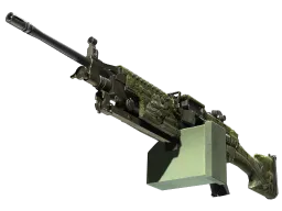 M249 | Aztec (Battle-Scarred)
