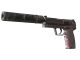 USP-S | Target Acquired CS2 skin