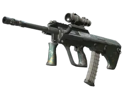 AUG | Surveillance (Well-Worn)