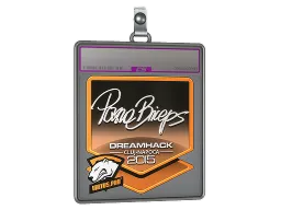 Sticker Slab | pashaBiceps (Foil) | Cluj-Napoca 2015