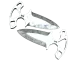 ★ Shadow Daggers | Stained CS2 skin