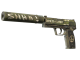 USP-S | Flashback skin