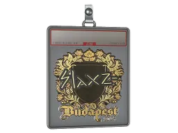 Sticker Slab | slaxz- (Gold) | Budapest 2025