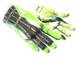 ★ Sport Gloves | Hedge Maze (Minimal Wear)