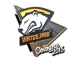 Sticker | Virtus.Pro | Cologne 2015 CS2 skin