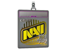 Sticker Slab | Natus Vincere (Foil) | 2020 RMR