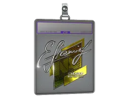 Sticker Slab | flamie (Foil) | Boston 2018