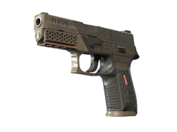 P250 | Bullfrog (Battle-Scarred)