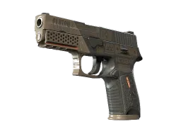 P250 | Bullfrog (Battle-Scarred)