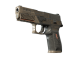 P250 | Bullfrog (Battle-Scarred)