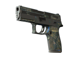 P250 | Exchanger (Battle-Scarred)