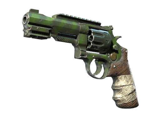 R8 Revolver | Survivalist (Well-Worn)