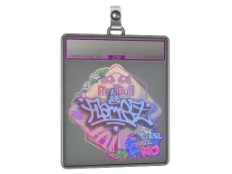 Sticker Slab | FlameZ (Holo) | Rio 2022