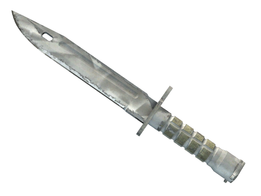 ★ Bayonet | Urban Masked (Well-Worn)