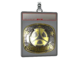 Sticker Slab | M80 (Gold) | Austin 2025