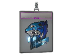 Sticker Slab | Flash Gaming (Foil) | Boston 2018