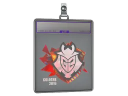 Sticker Slab | G2 Esports (Holo) | Cologne 2016