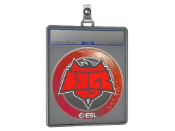 Sticker Slab | HellRaisers | Katowice 2019