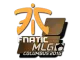 Sticker | Fnatic | MLG Columbus 2016 CS2 skin