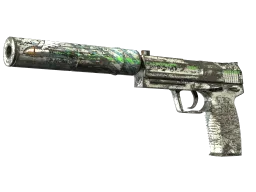 USP-S | Road Rash (Battle-Scarred)