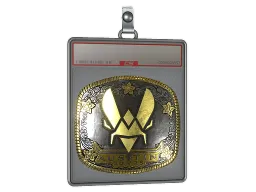Sticker Slab | Vitality (Gold) | Austin 2025