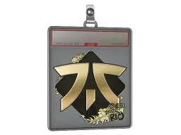 Sticker Slab | Fnatic (Gold) | Rio 2022