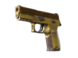 P250 | Sedimentary CS2 skin