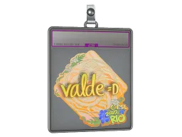 Sticker Slab | v4lde (Holo) | Rio 2022