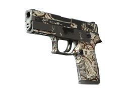 P250 | Gunsmoke (Battle-Scarred)