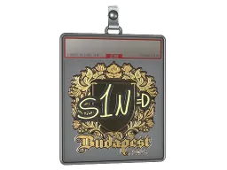 Sticker Slab | s1n (Gold) | Budapest 2025