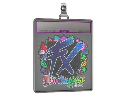 Sticker Slab | Fluxo (Holo) | Budapest 2025