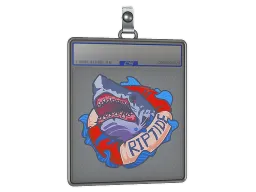 Sticker Slab | Operation Riptide