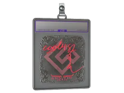Sticker Slab | cool4st (Foil) | Austin 2025
