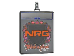 Sticker Slab | NRG | Budapest 2025