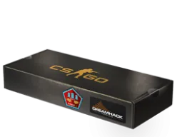 DreamHack 2014 Mirage Souvenir Package