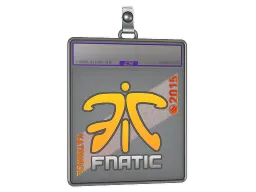 Sticker Slab | Fnatic (Holo) | Katowice 2015