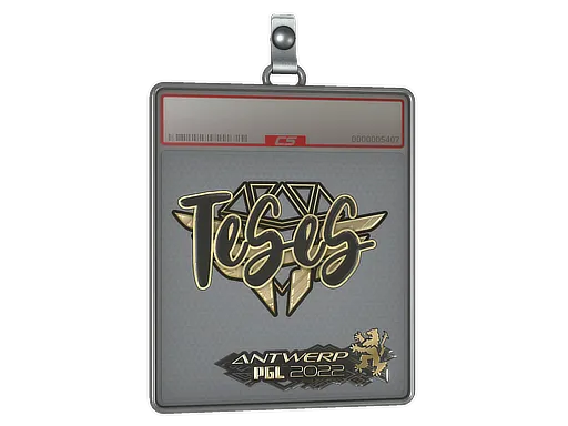 Sticker Slab | TeSeS (Gold) | Antwerp 2022