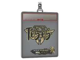 Sticker Slab | TeSeS (Gold) | Antwerp 2022