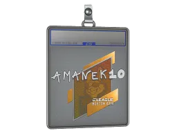 Sticker Slab | AmaNEk | Boston 2018