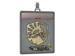 Sticker Slab | oSee (Gold) | Antwerp 2022