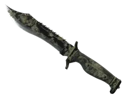 ★ Bowie Knife | Safari Mesh (Battle-Scarred)