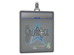 Sticker Slab | junior | Antwerp 2022