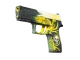 P250 | Wingshot CS2 skin