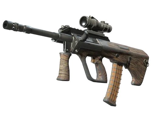 Souvenir AUG | Spalted Wood (Well-Worn)