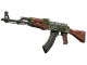 AK-47 | Hydroponic CS2 skin