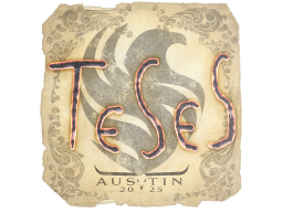 Sticker | TeSeS | Austin 2025